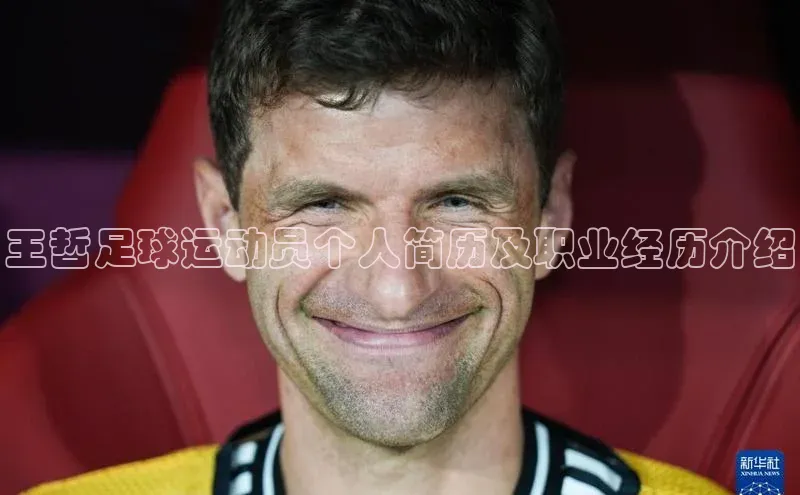 3377体育app登录入口百度学术王哲足球运动员个人简历及职业经历介绍