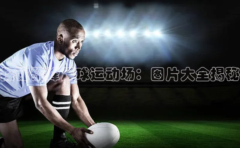 3377体育雷柏科技探秘黎峰足球运动场：图片大全揭秘