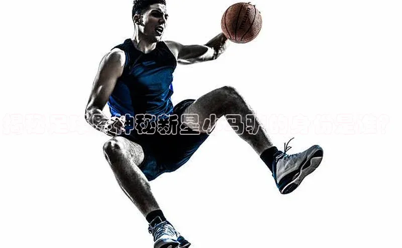 3377体育中国官方网站入口百度手机输入法揭秘足球界神秘新星小马驴的身份是谁？