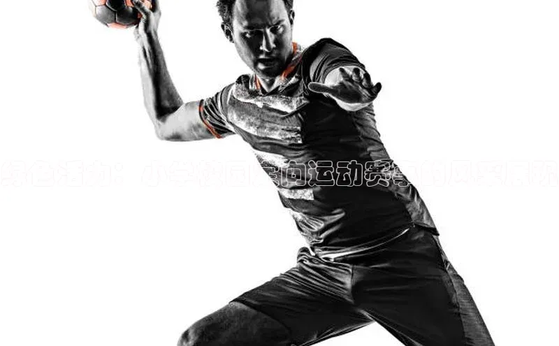 绿色活力：小学校园定向运动赛事的风采展现