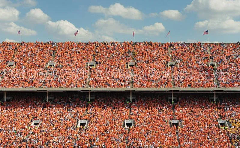 跨越时空的荣耀：运动赛事比赛视频大全精选