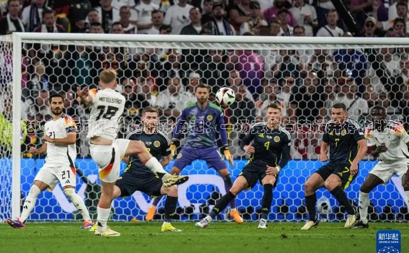 威海文登运动健儿的精彩角逐：一场竞技与荣耀并存的比赛