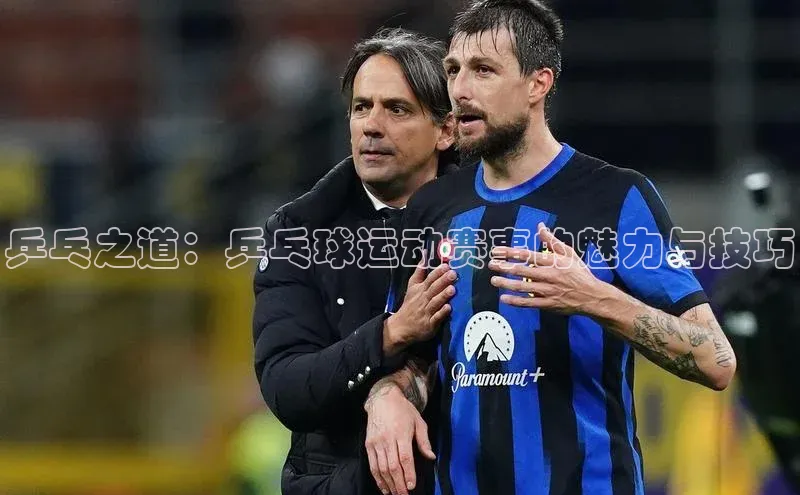 乒乓之道：乒乓球运动赛事的魅力与技巧