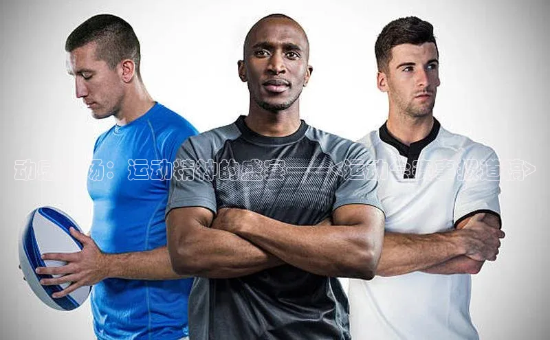 动感赛场：运动精神的盛宴——<运动会赛事报道稿>