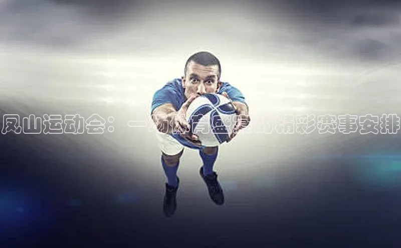 凤山运动会：一场体育盛宴的精彩赛事安排