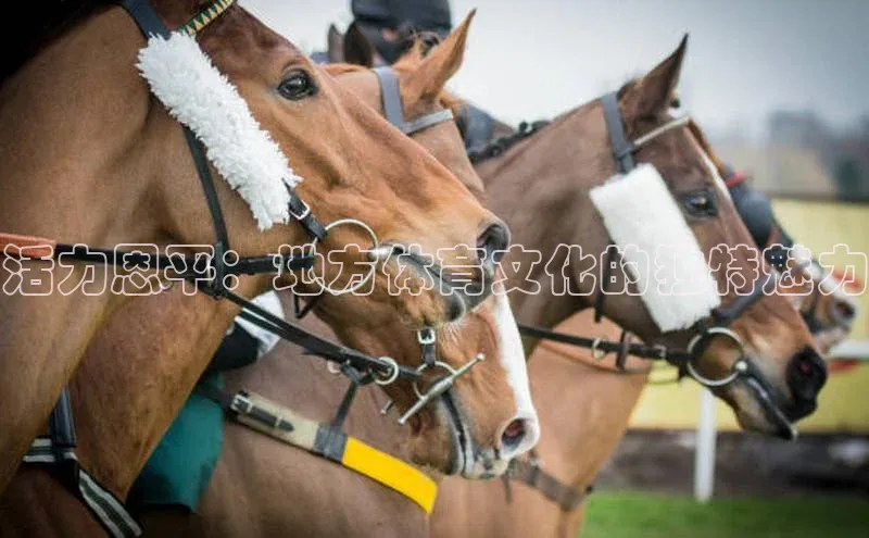活力恩平：地方体育文化的独特魅力