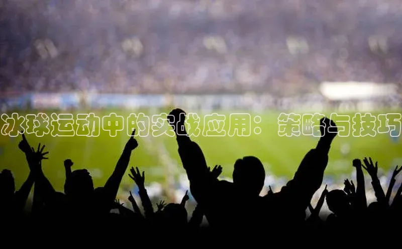 冰球运动中的实战应用：策略与技巧