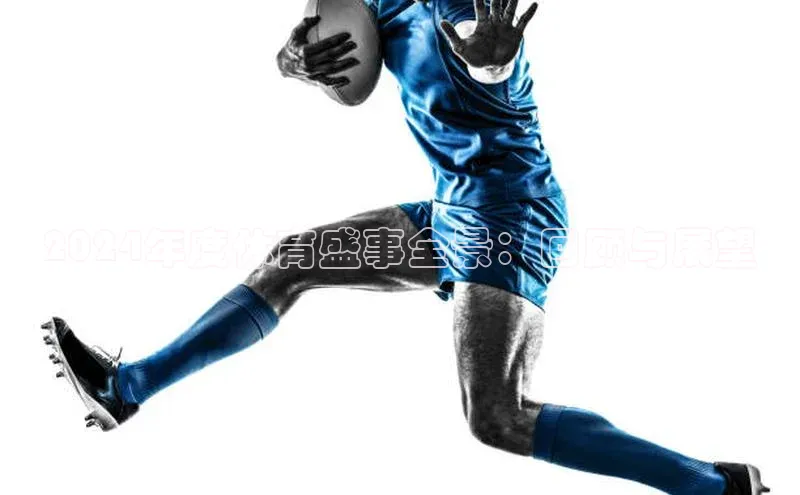 2024年度体育盛事全景：回顾与展望