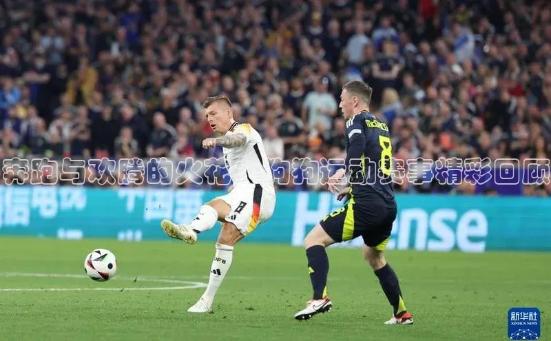 奔跑与欢腾的火花：狗狗运动赛事精彩回顾