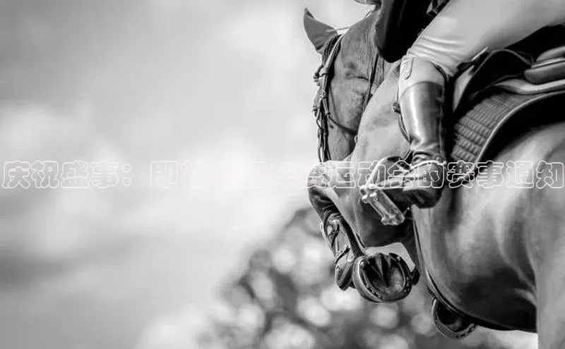 庆祝盛事：即将举行年度运动会的赛事通知