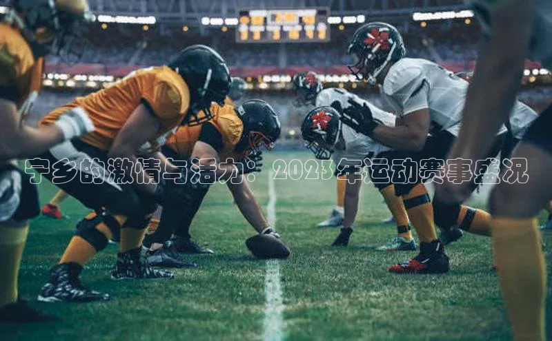 宁乡的激情与活力：2023年运动赛事盛况