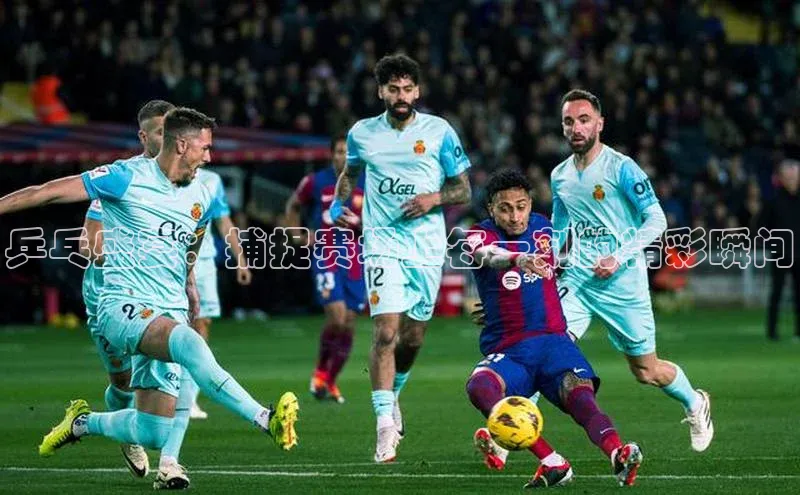 乒乓盛宴：捕捉赛场上每一刻的精彩瞬间