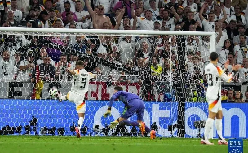 3377体育app登录入口手机版