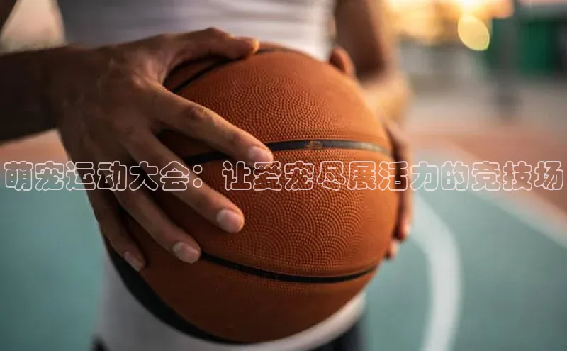 萌宠运动大会：让爱宠尽展活力的竞技场