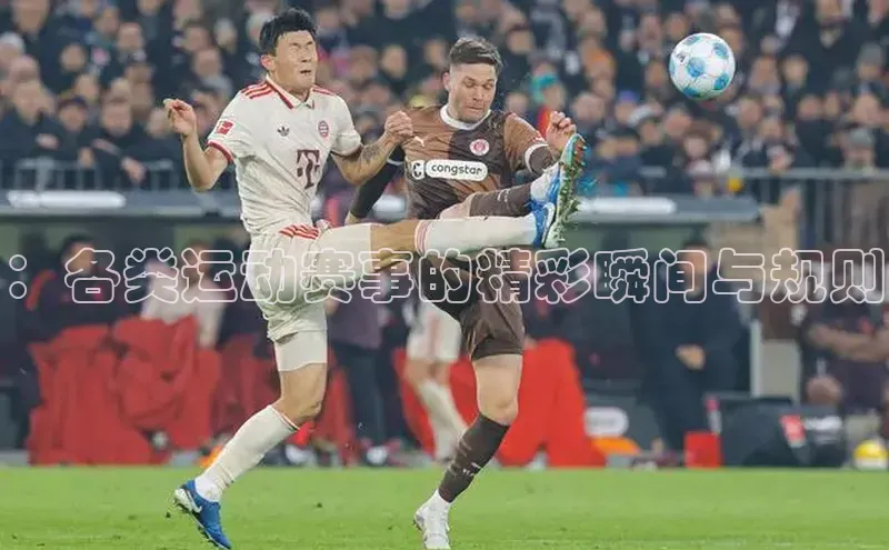 ：各类运动赛事的精彩瞬间与规则