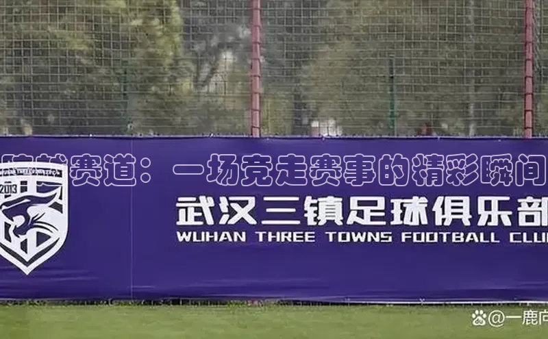 跨越赛道：一场竞走赛事的精彩瞬间