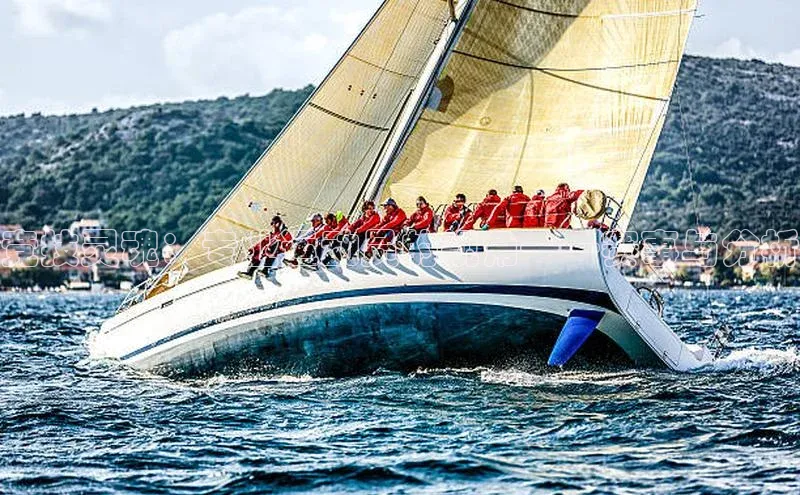 竞技灵魂：专业运动员的视角——赛事与分析